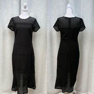 Banana Republic short sleeve sheath semi sheer lace net dress